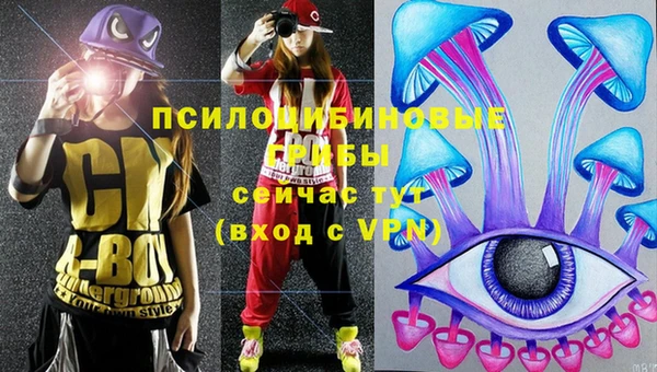 мяу мяу мука Алзамай