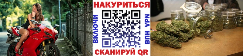 Канабис план  где купить наркоту  кракен   Кудрово 